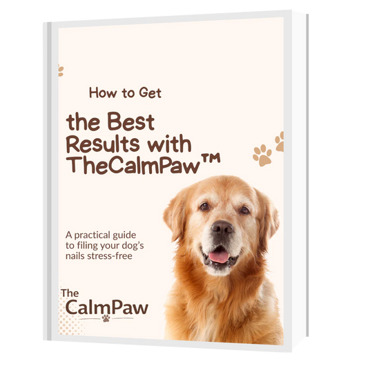 Dog Training Guide